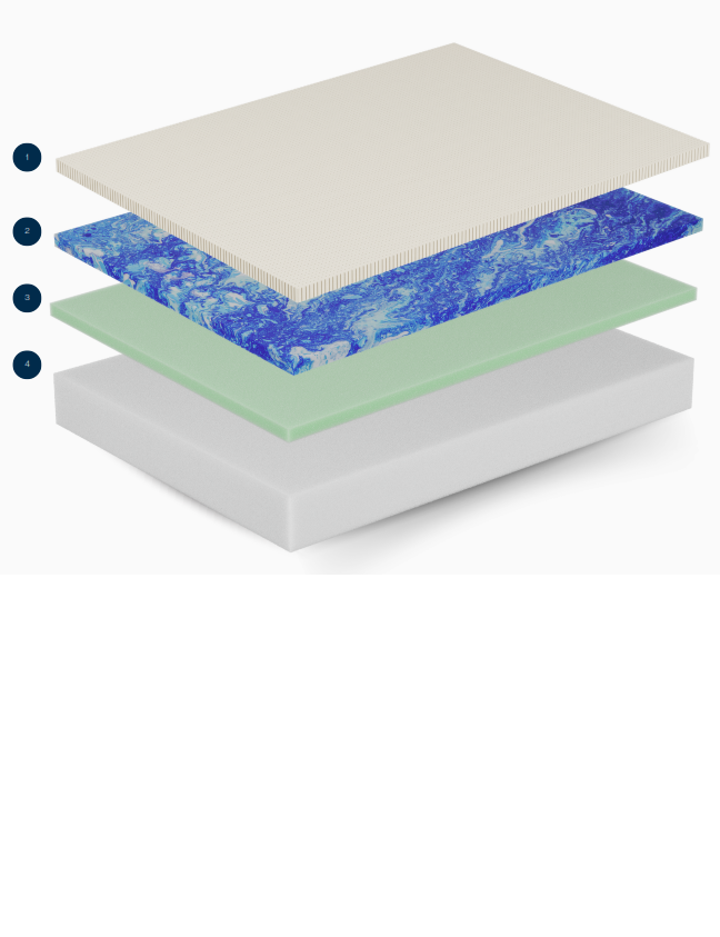 HEVEA FOAM – Image 3